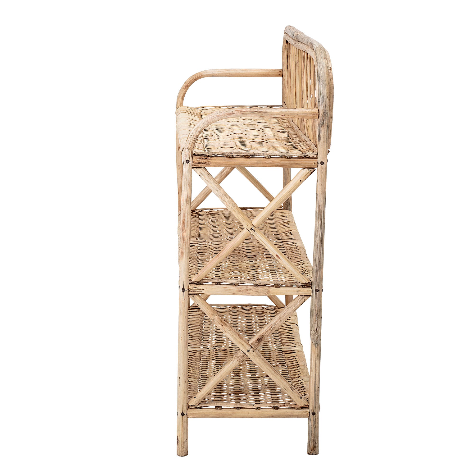 Blooming ville Ezra Plank, Natur, Schilf