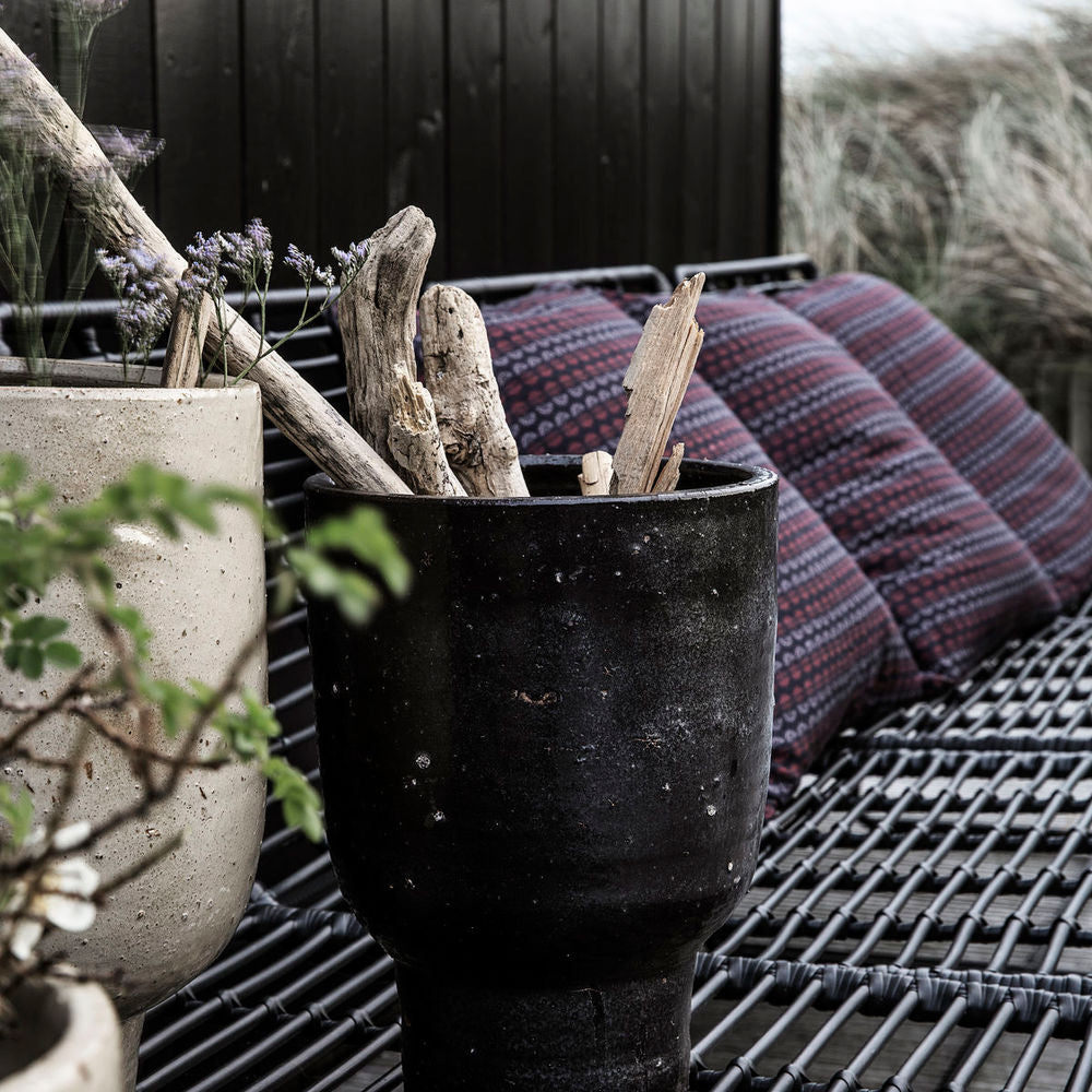 Hausarzt Pflanzen, Künstler, Braun