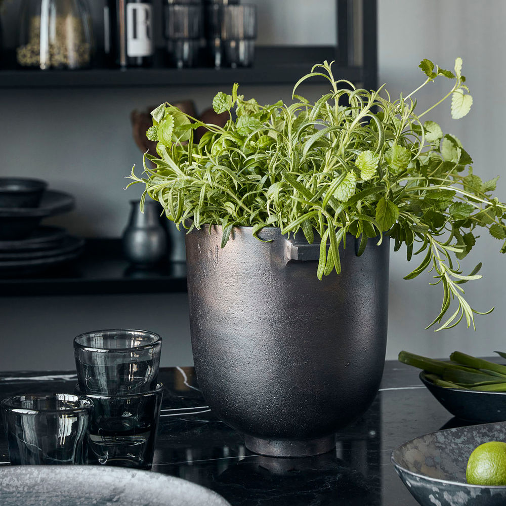 Casa Doctor Plantas, Foem, Bronce Latón