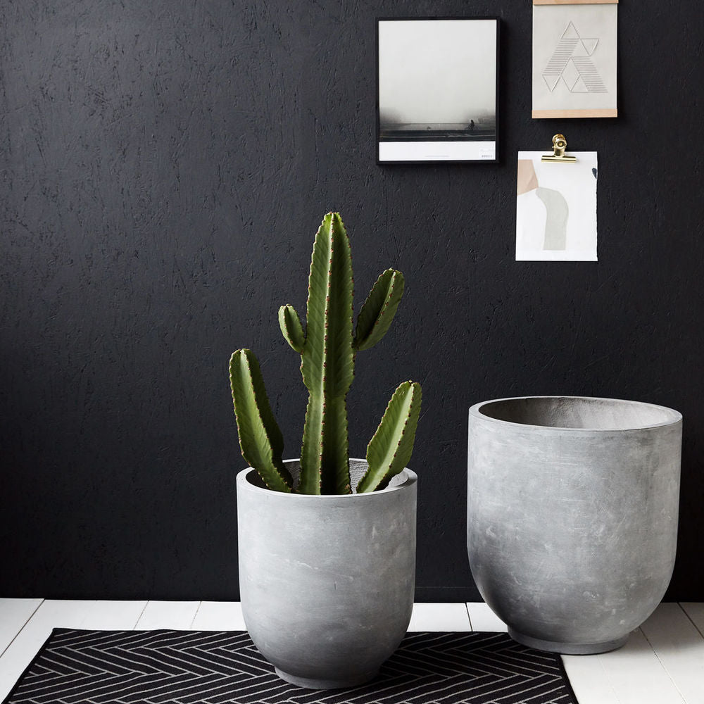 House Doctor Plantes, Gard, Gris
