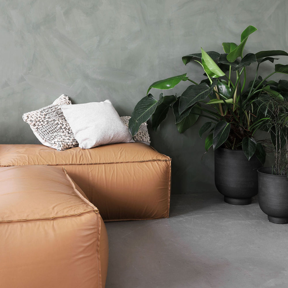 Hausarzt Pflanzen, Vig, Grau