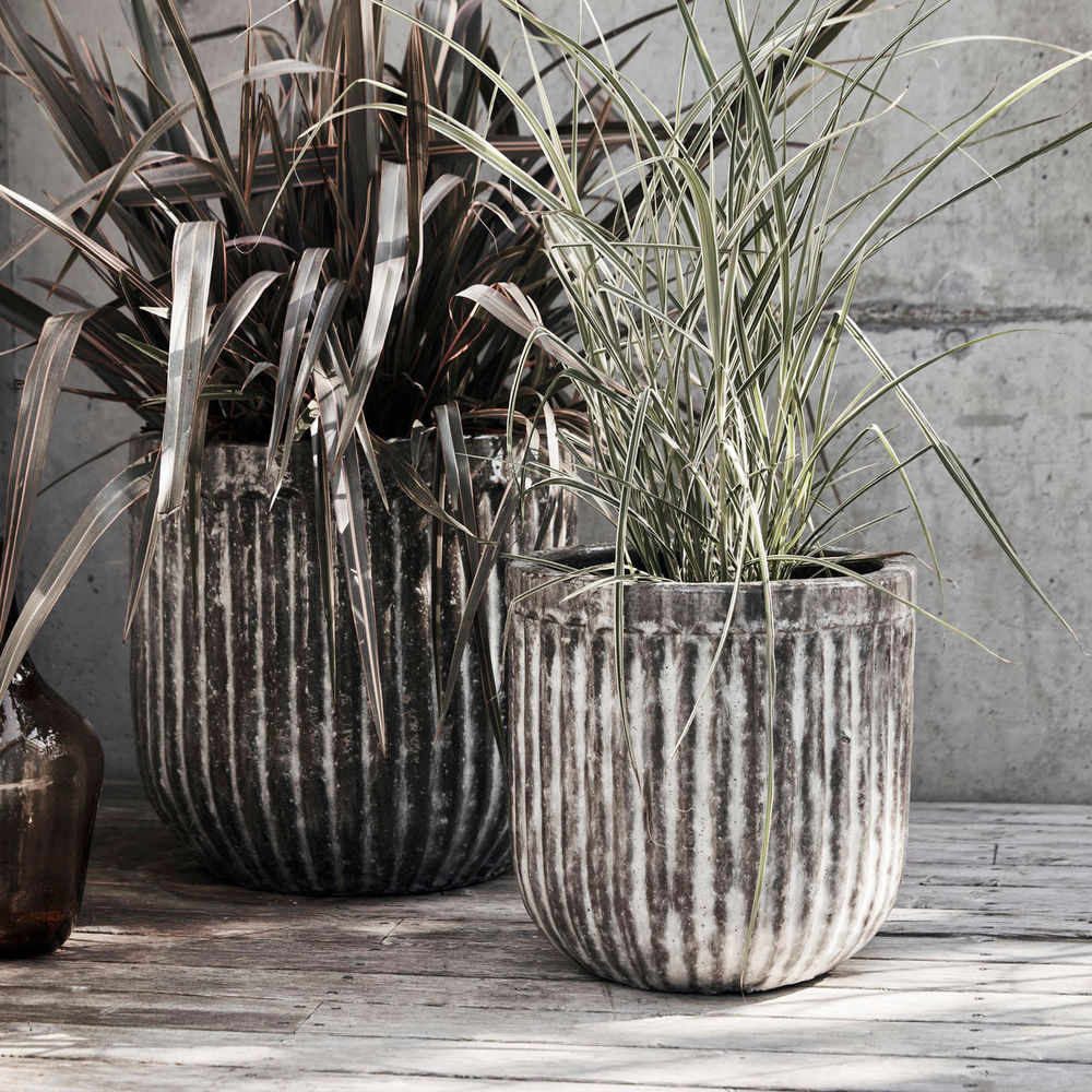 House Doctor Planten, Pharao, Grijs/bruin