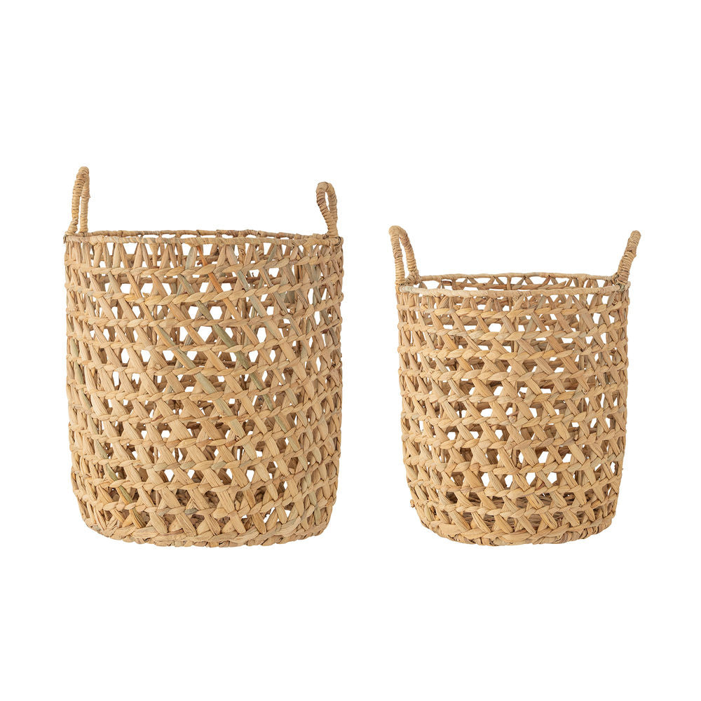 Bloomingville Rachel Mand, Naturaleza, Jacinto de agua