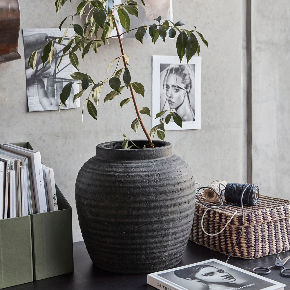 Hausarzt Pflanzen, HDHafa, Grau/Braun