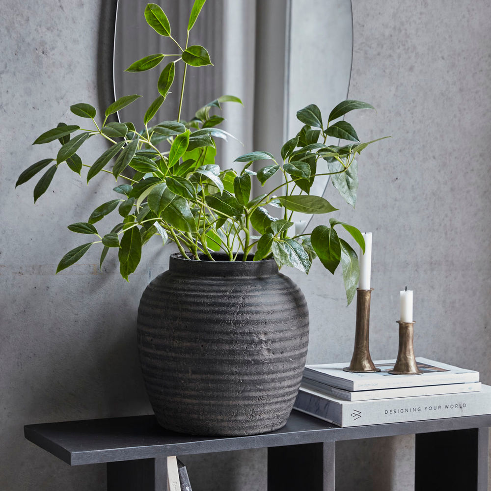 Hausarzt Pflanzen, HDHafa, Grau/Braun