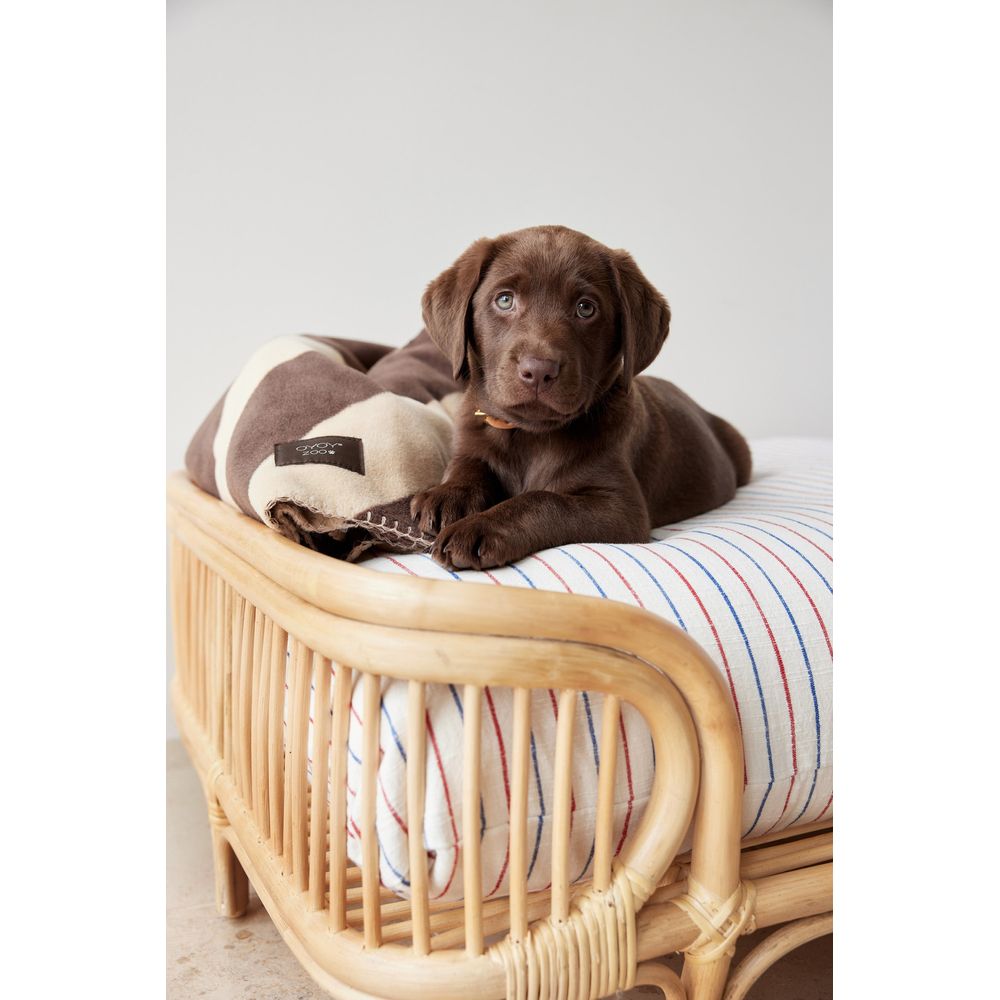 OYOY ZOO Otto Hunde bett-Medium