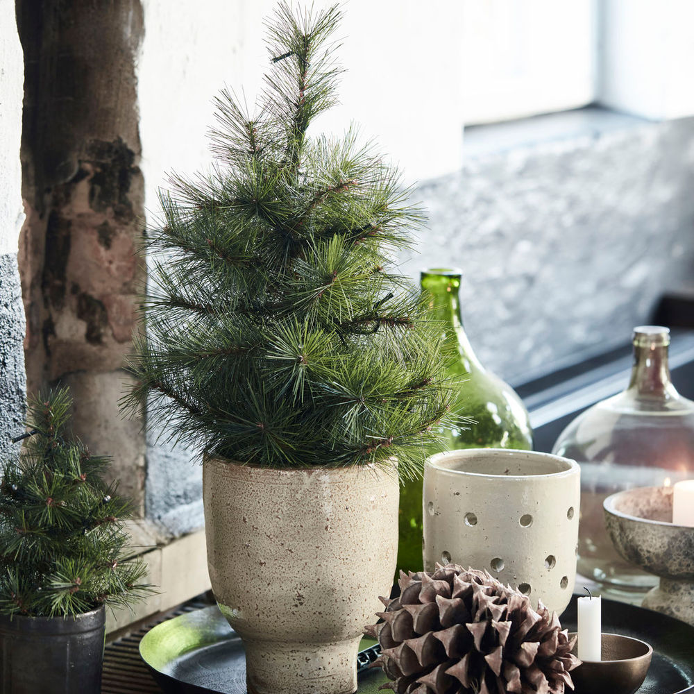 Hausarzt Weihnachts baum mit LED-Leuchten, Pinus, Natur