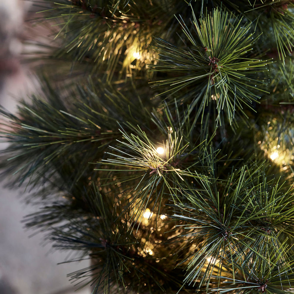 Hausarzt Weihnachts baum mit LED-Leuchten, Pinus, Natur